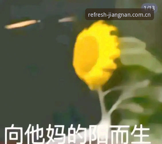 江南体育F5AN对比真的靠谱吗？先搞清楚这几点再决定